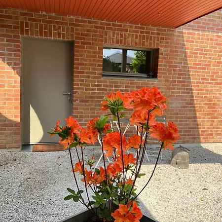 Dom wakacyjny Independant